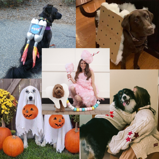 DIY Howl-ween Costume Ideas