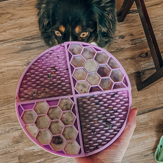 Pupsicle Lick Mat