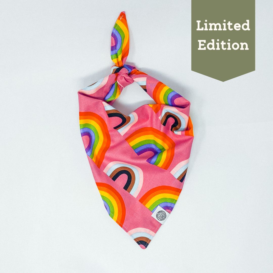Pride Bandana