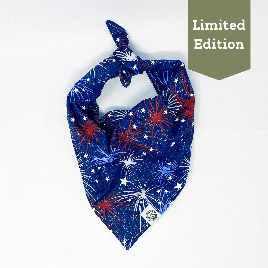 Fireworks Bandana