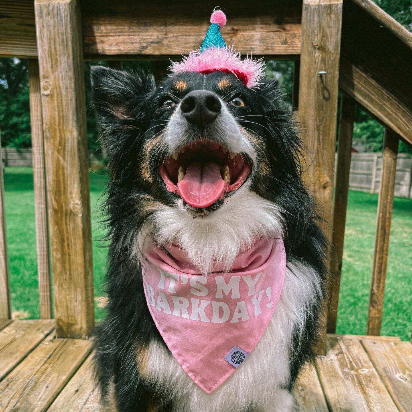 Barkday Bandana