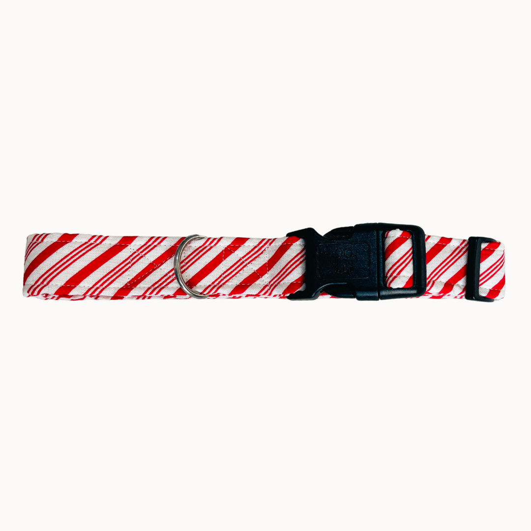 Candy Cane Collar