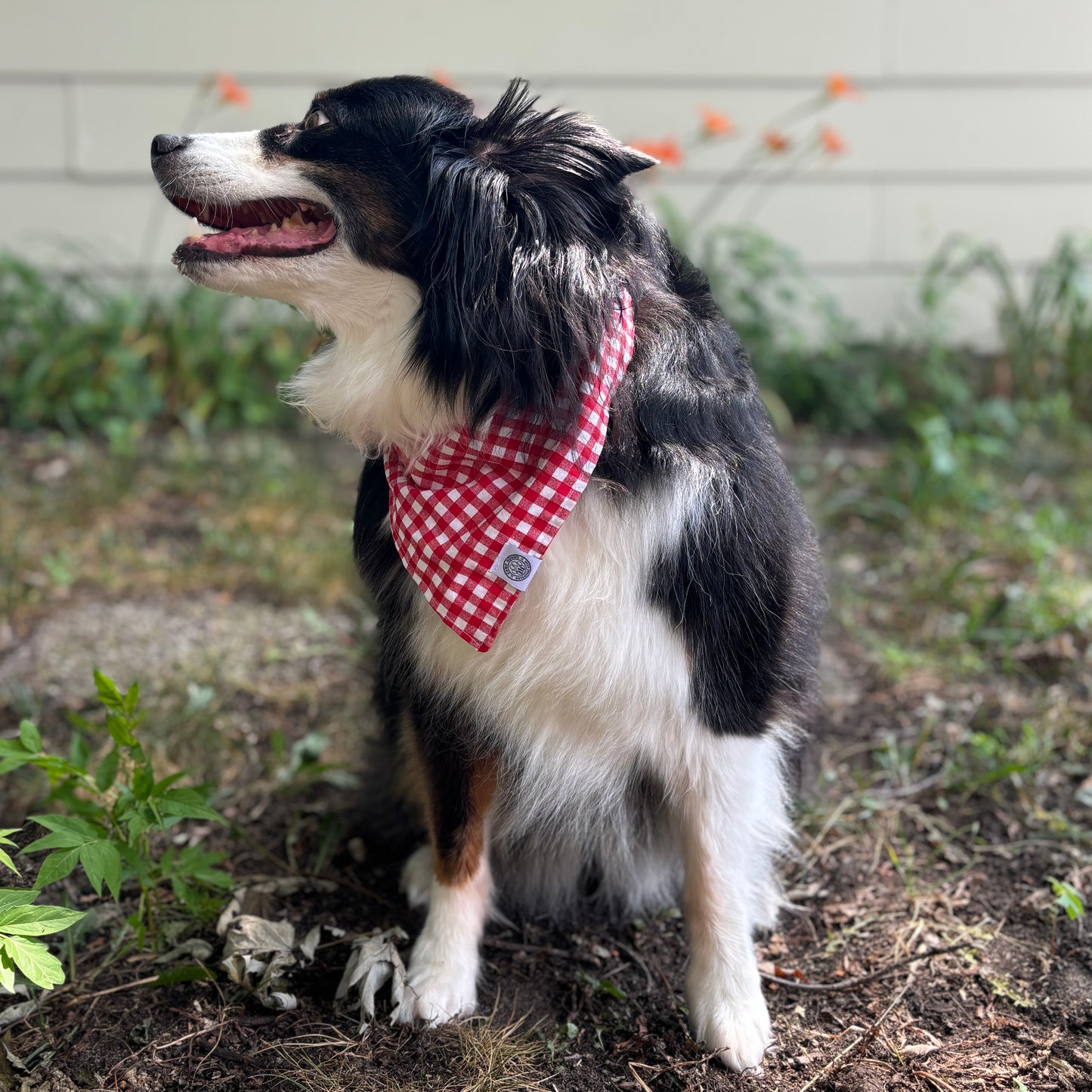 Gracie Bandana