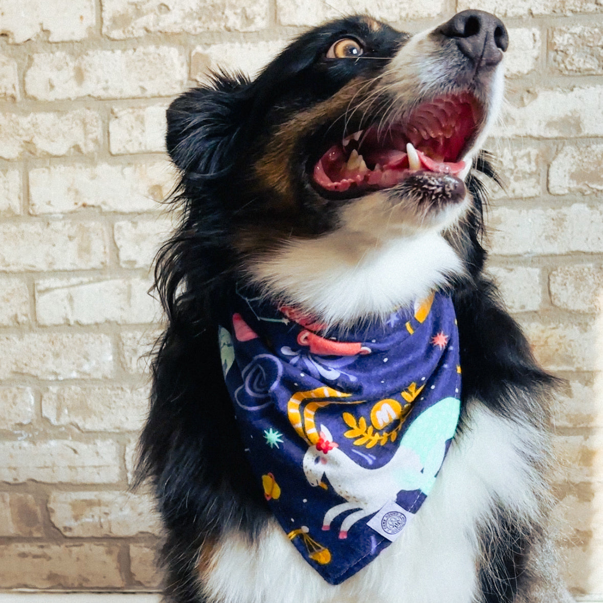 Astro Bandana