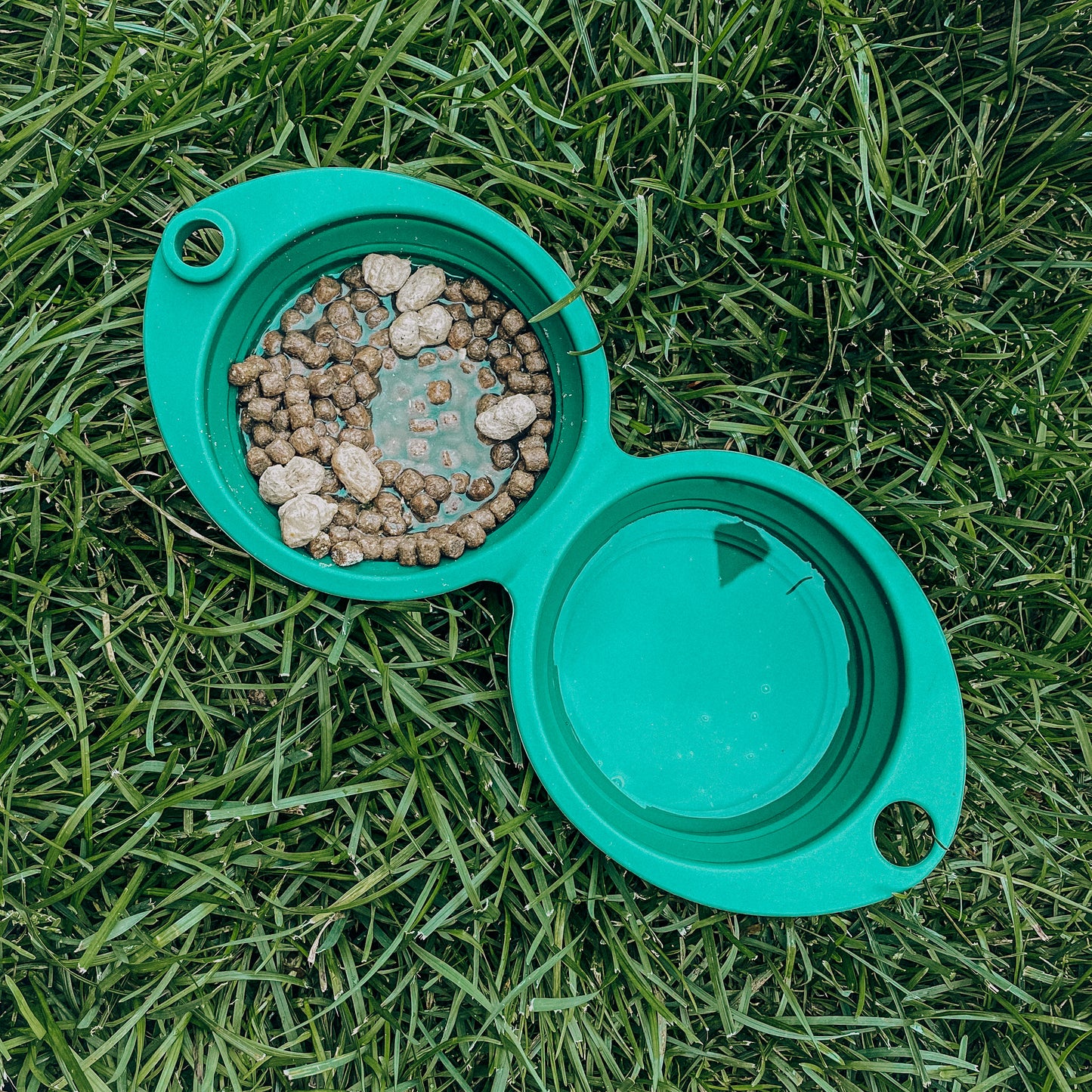 2-in-1 Travel Dog Bowl