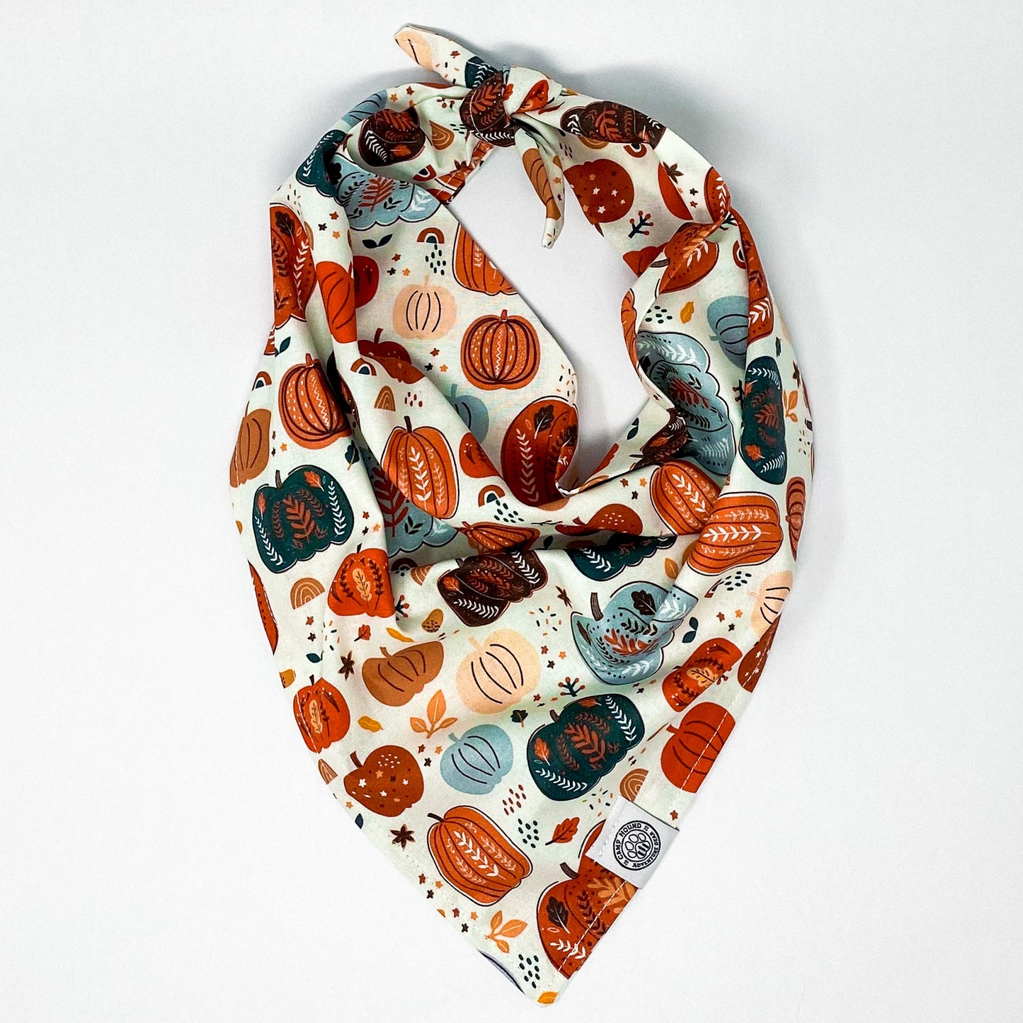 Pumpkin Patch Bandana