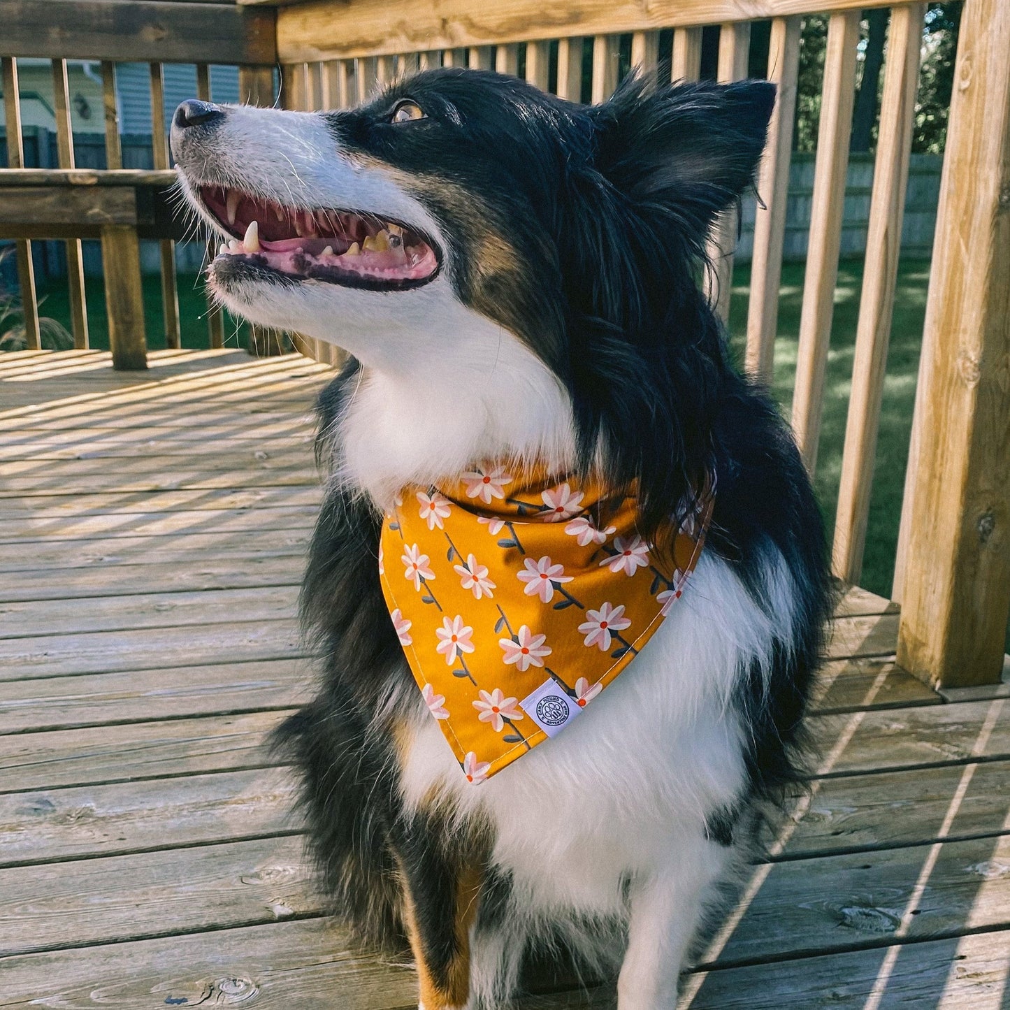 Golden Hour Bandana