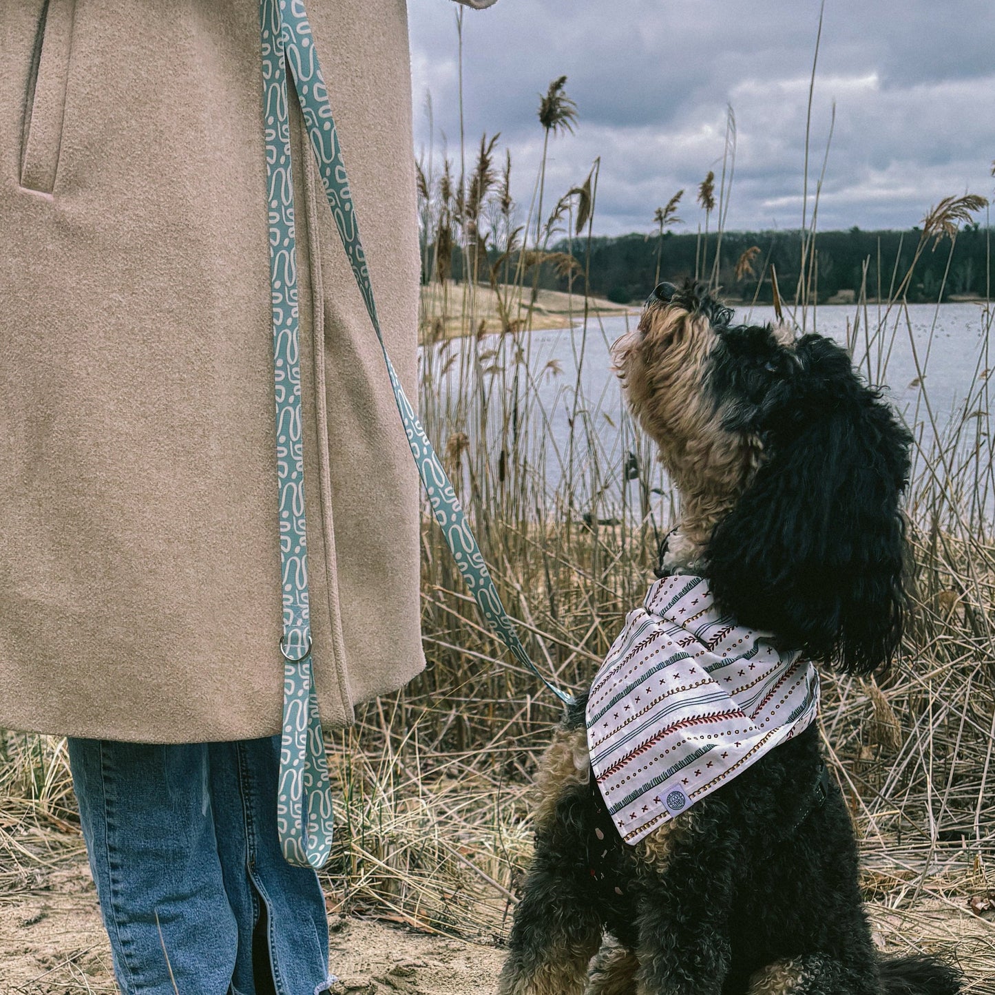 Sierra Recycled Dog Leash