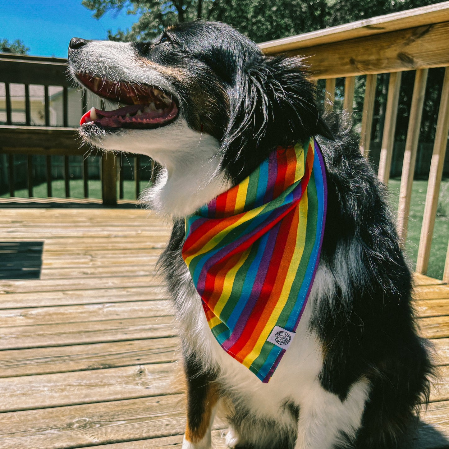 Iris Bandana