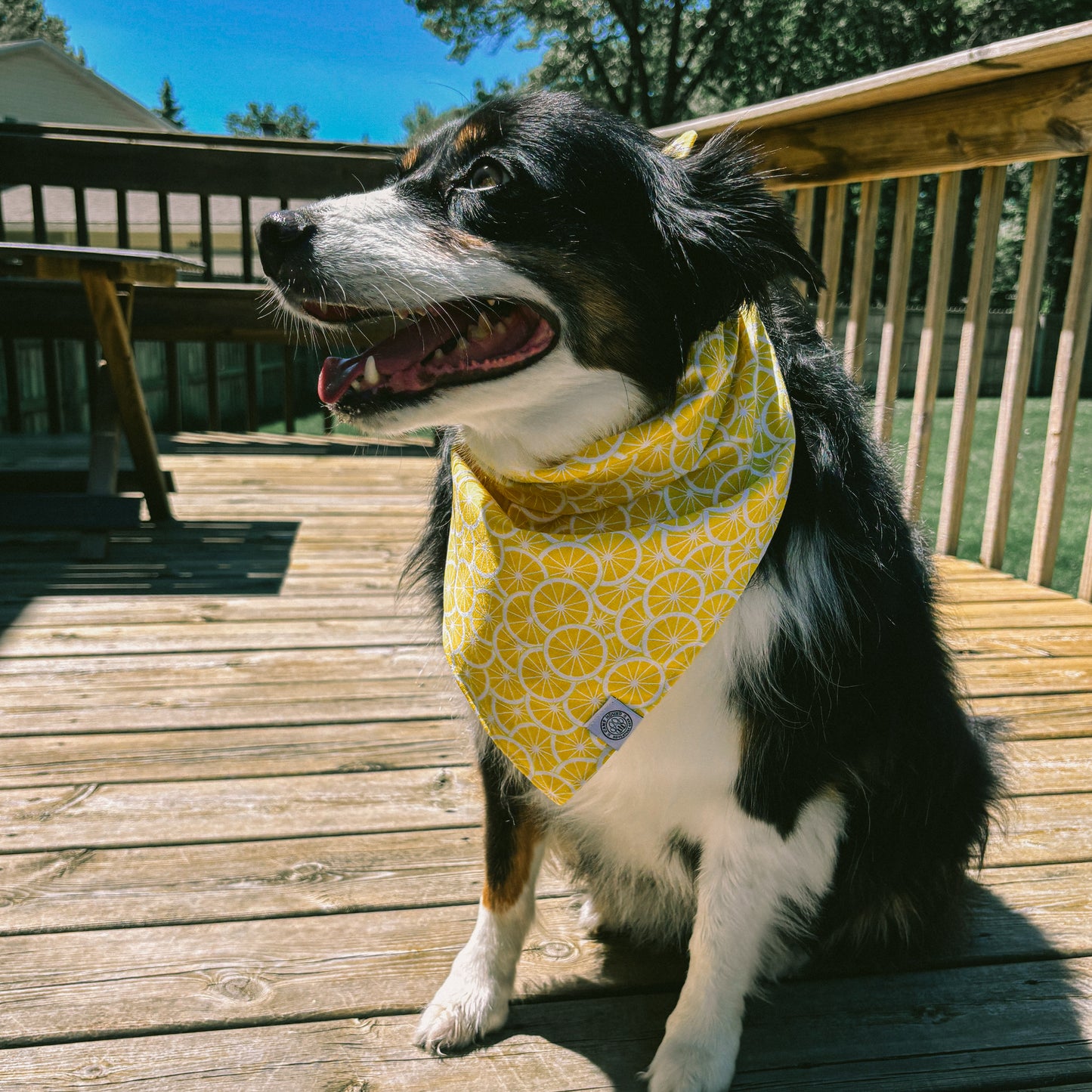 Limoncello Bandana