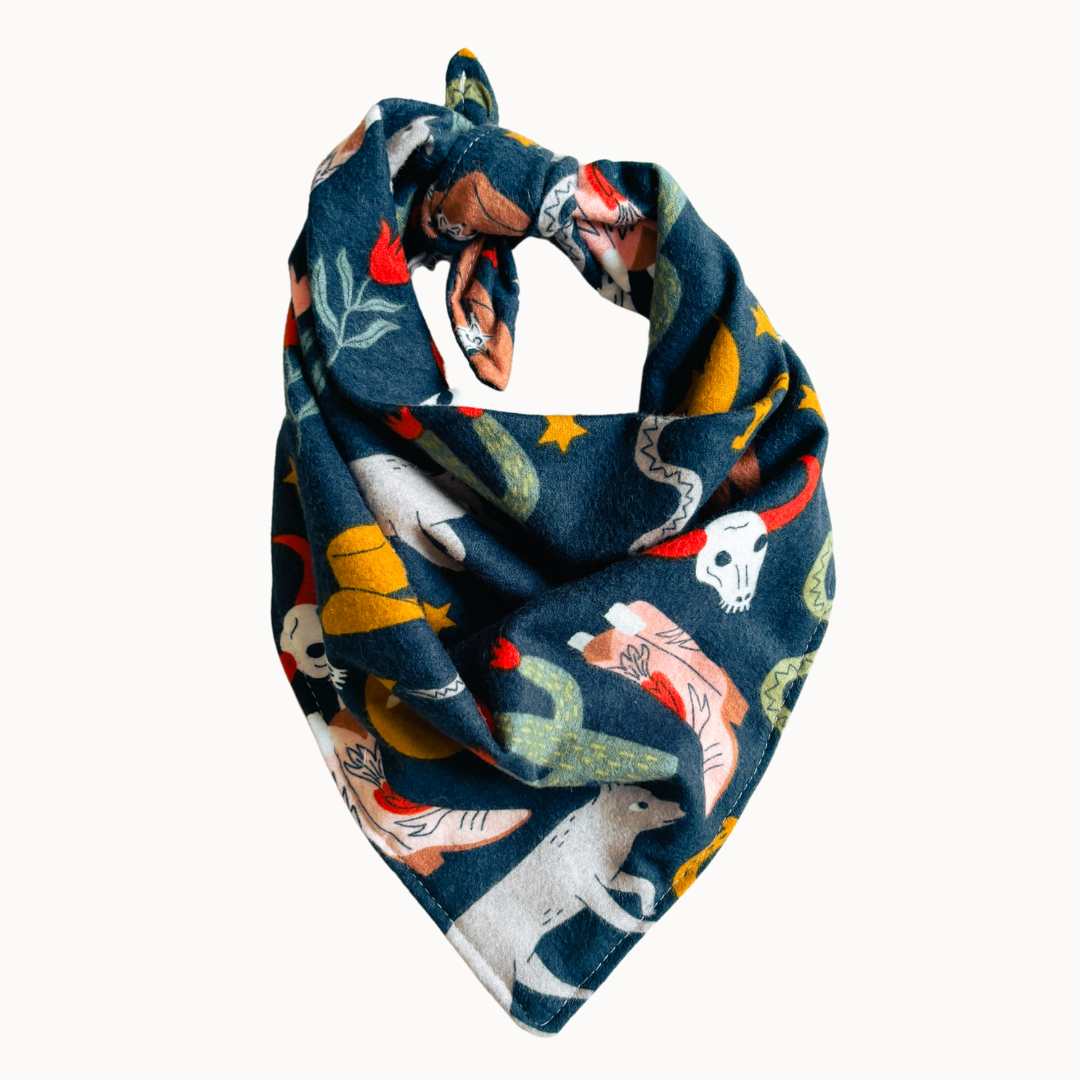 Outlaw Bandana
