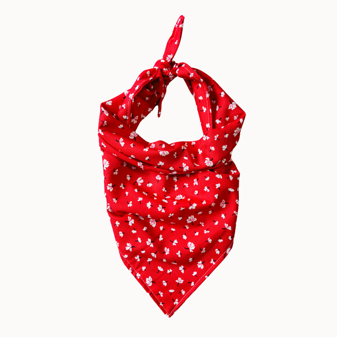 Poppy Bandana
