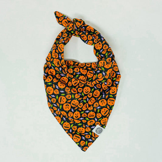 Pumpkin Bandana