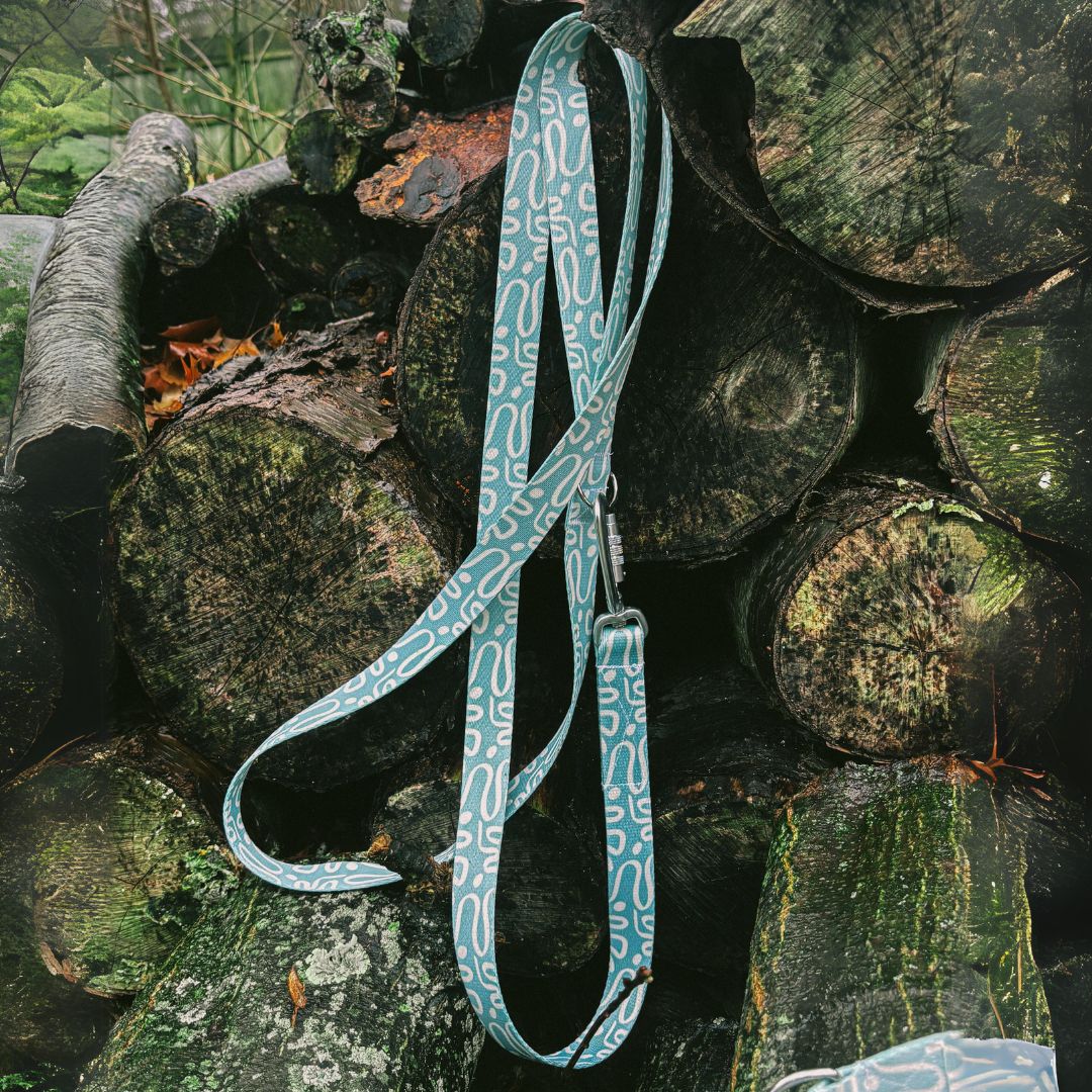 Sierra Recycled Dog Leash