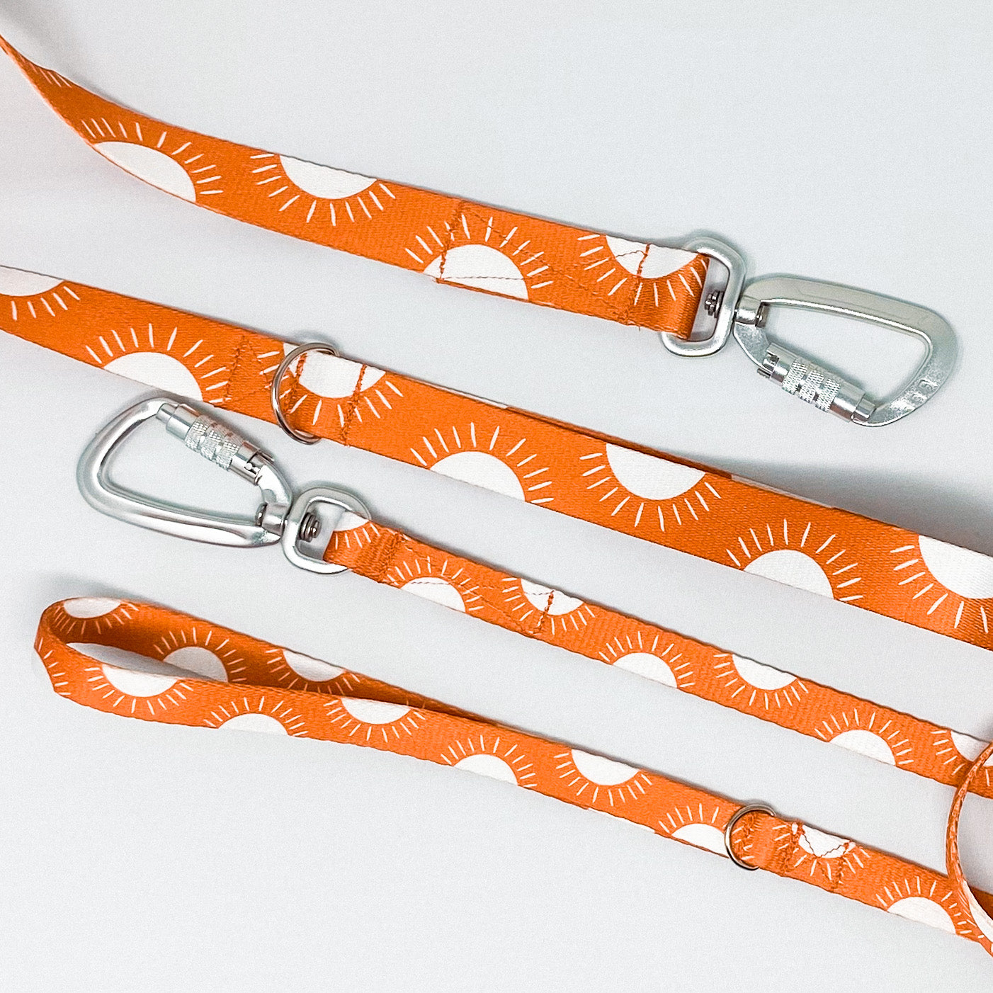 Sunshine Recycled Dog Leash