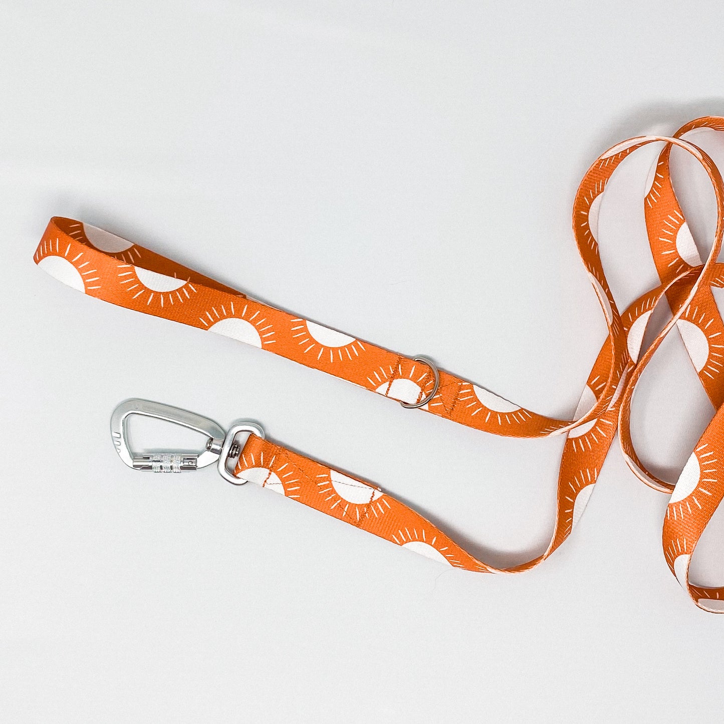 Sunshine Recycled Dog Leash