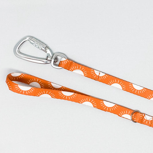 Sunshine Recycled Dog Leash
