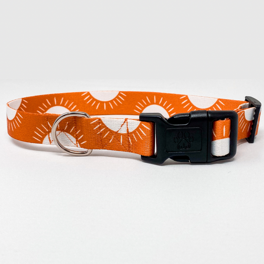 Sunshine Recycled Dog Collar