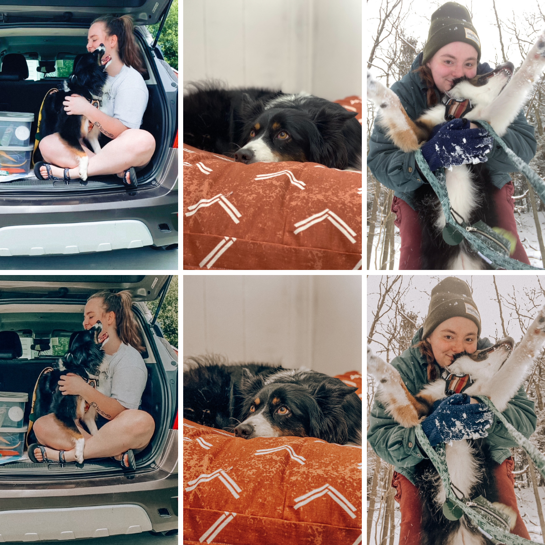 Granola Dog Preset Pack