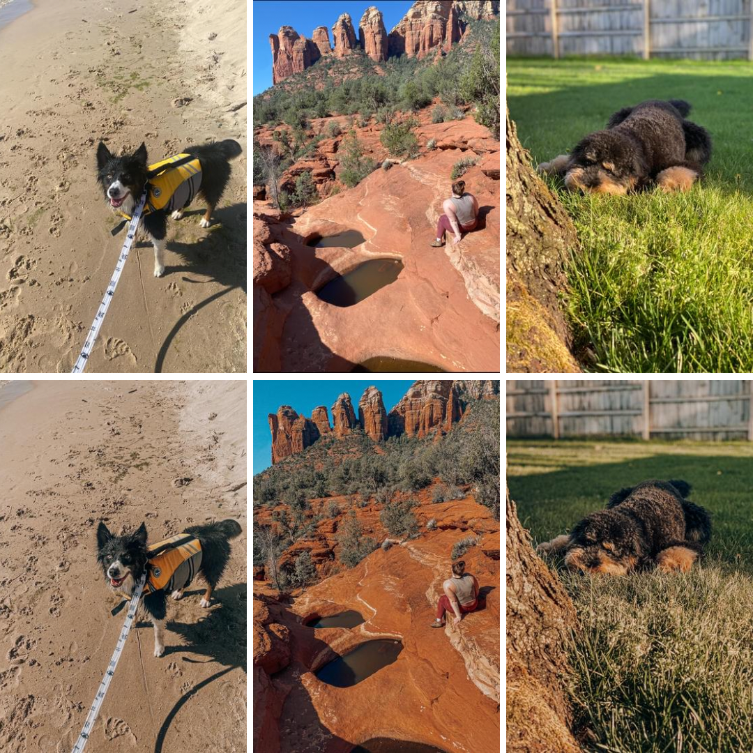 Granola Dog Preset Pack