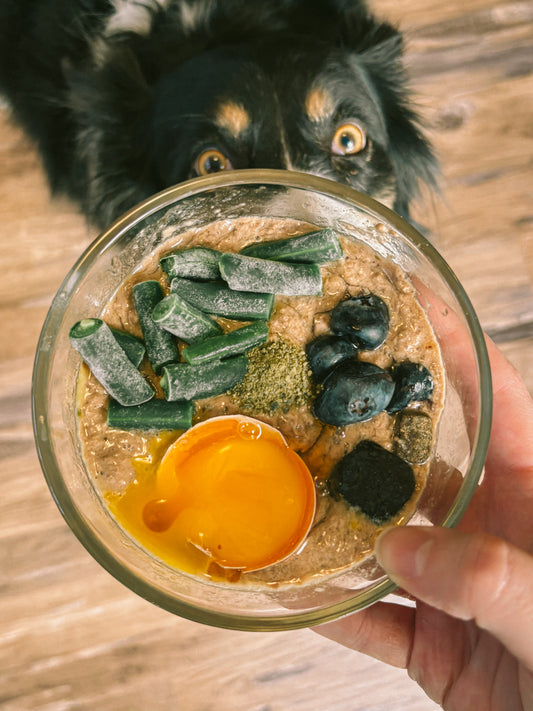 Trail-Ready Nutrition: Fueling Your Dog for Long Hikes and Outdoor Excursions