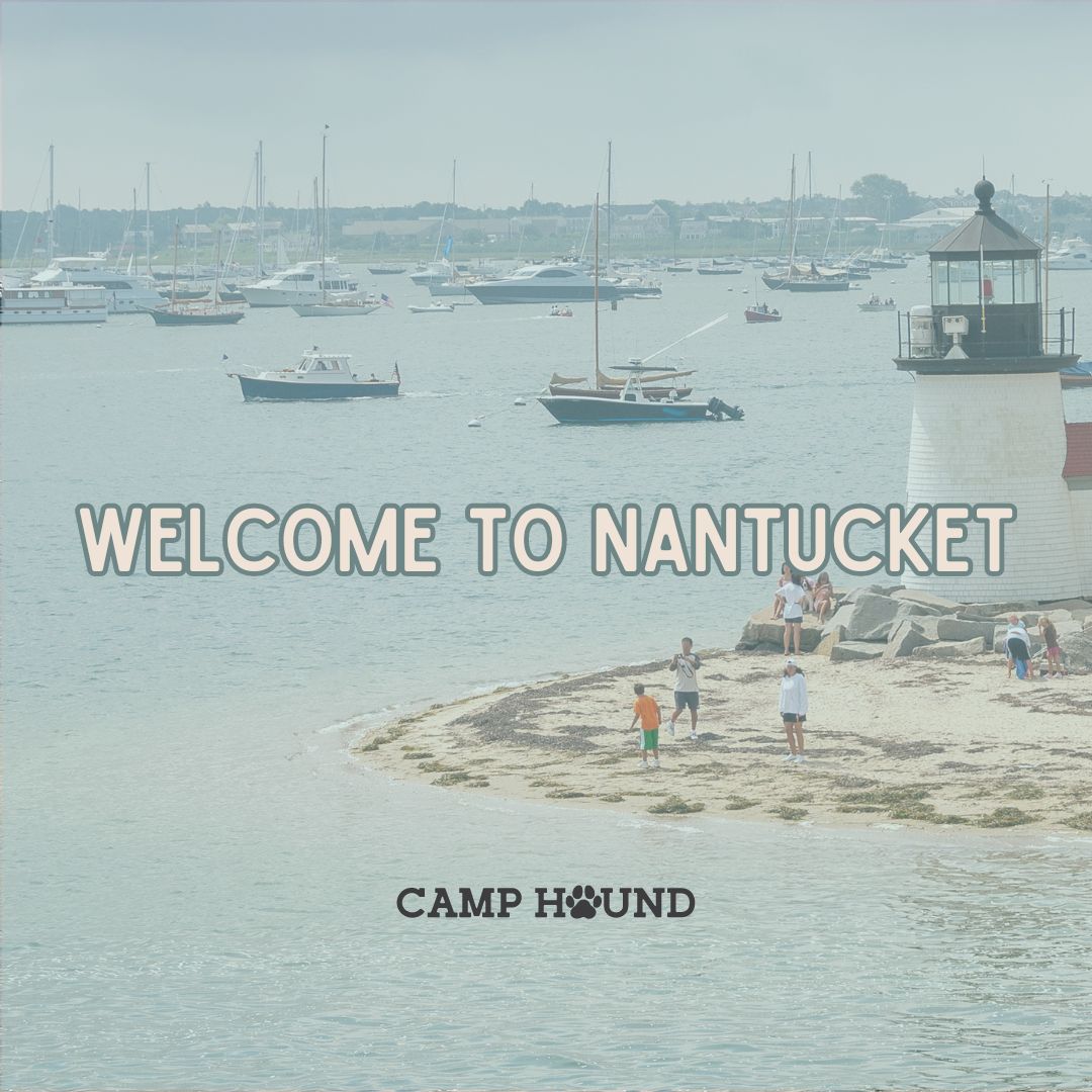 Shop by Collection – Camp Hound