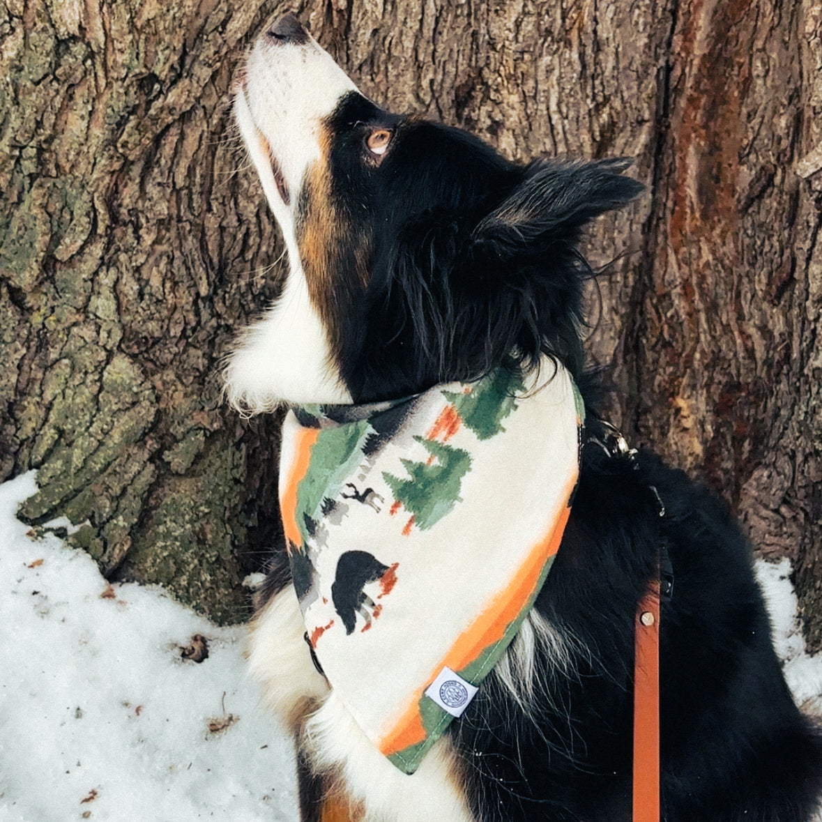 Aspen Bandana