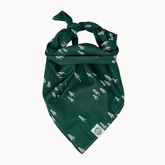 Auggie Bandana