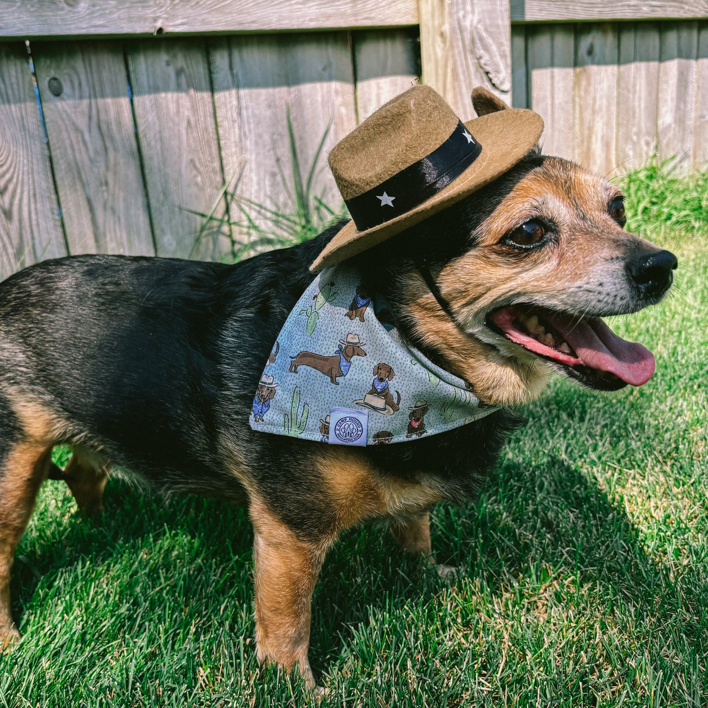 Bandit Bandana