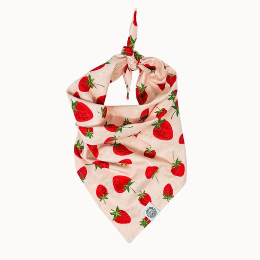 Berry Bandana