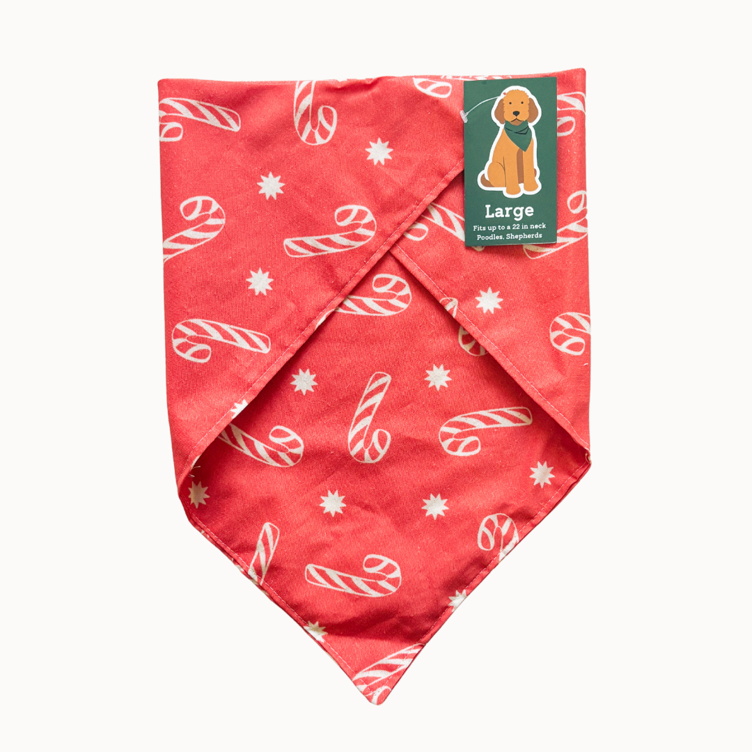 Candy Cane Bandana