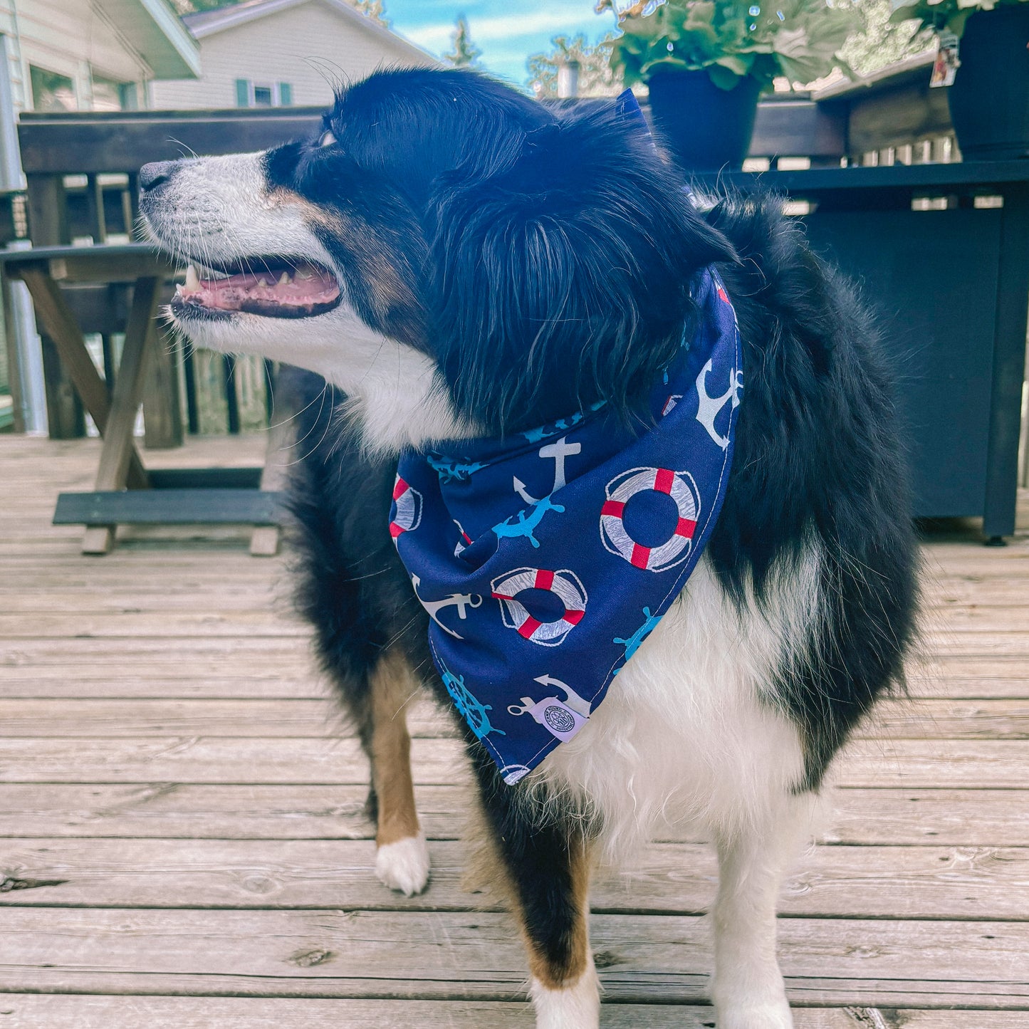 Captain Bandana