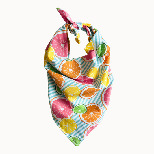 Citrus Bandana