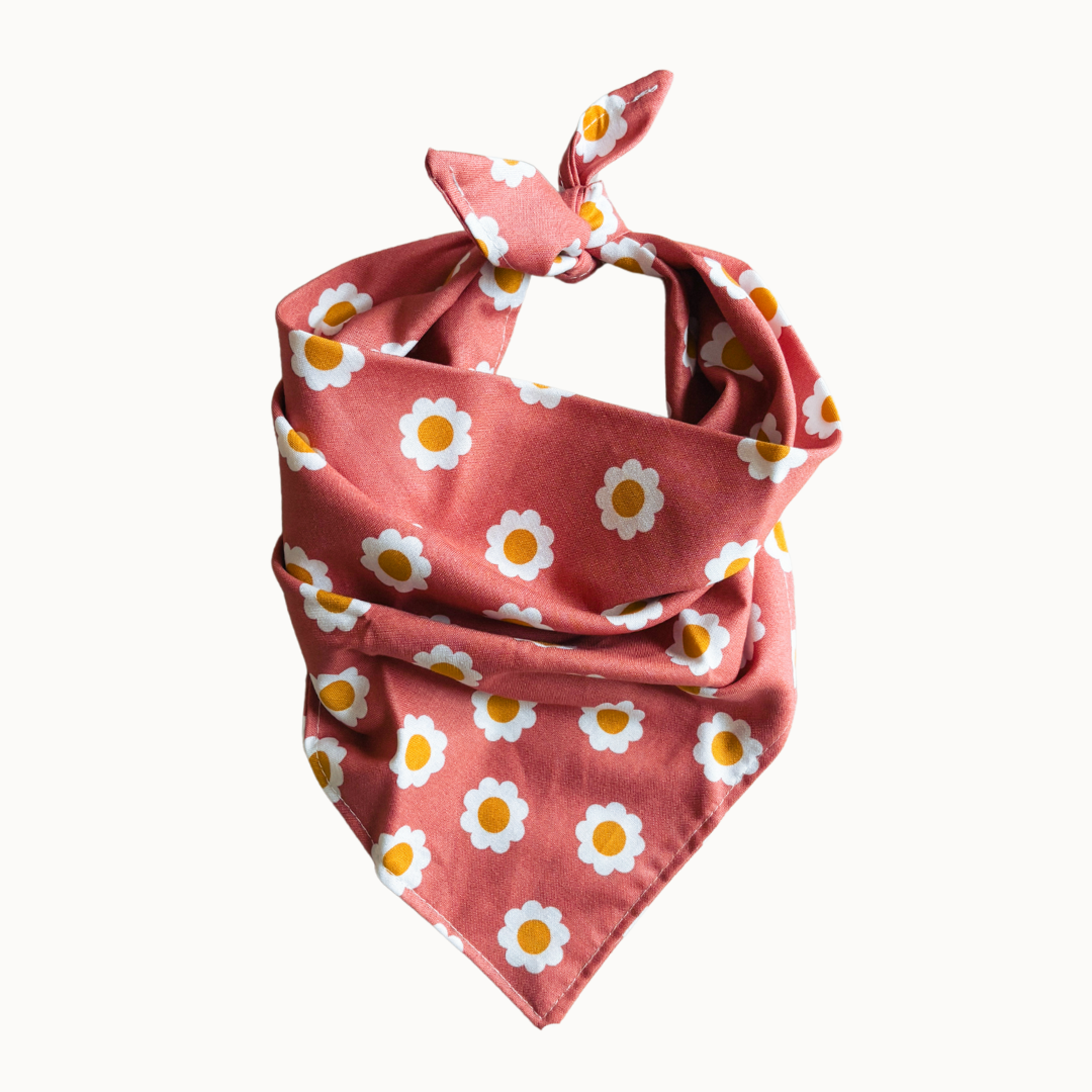 Daisy Bandana