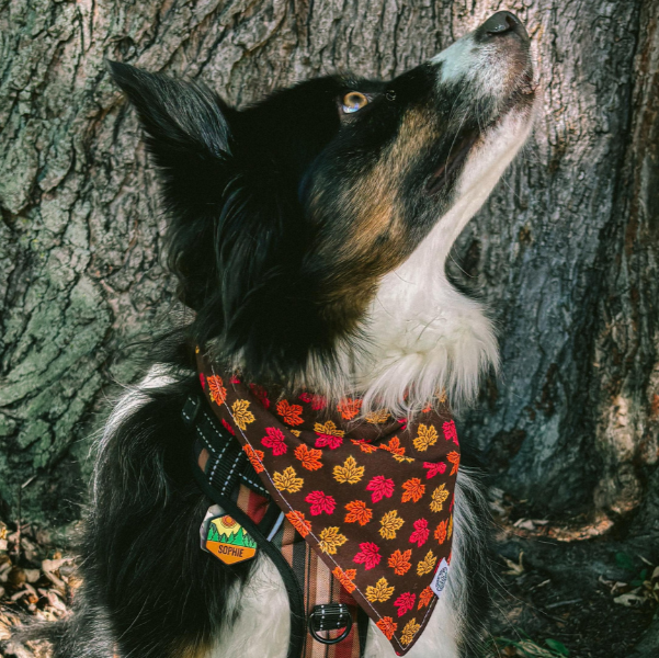 Maple Bandana