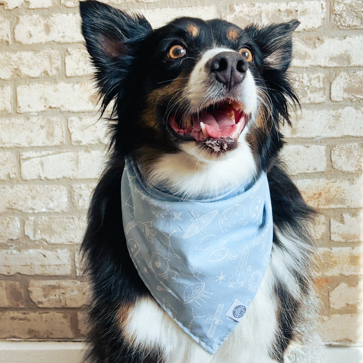 Cosmo Bandana