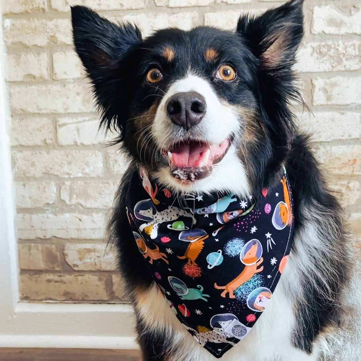 Laika Bandana