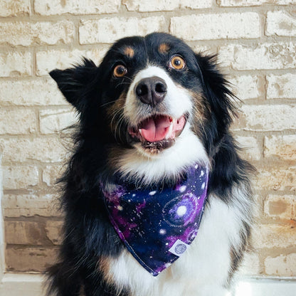 Nova Bandana