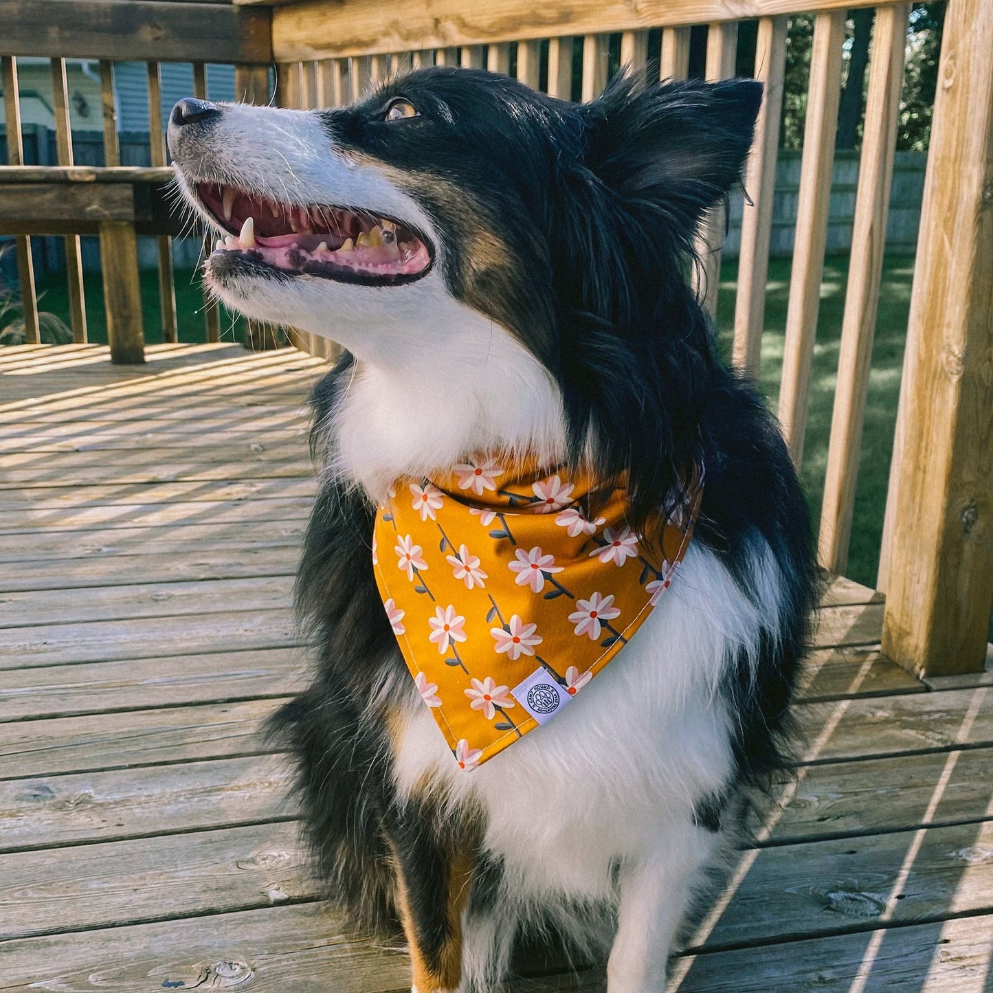 Goldie Bandana