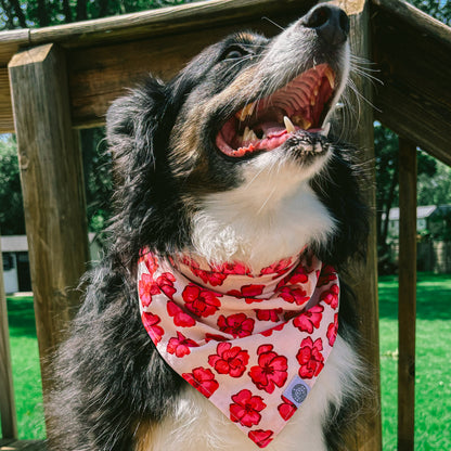 Leia Quick Dry Bandana