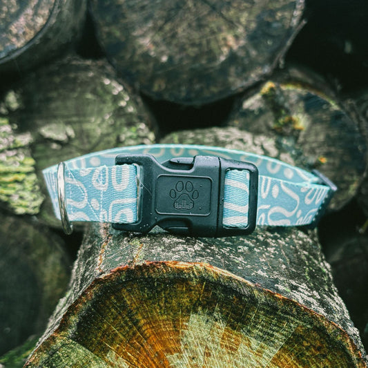 Sierra Recycled Dog Collar