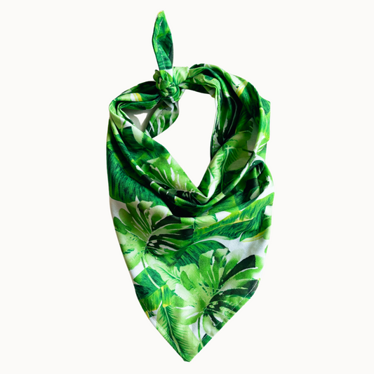 Monty Bandana