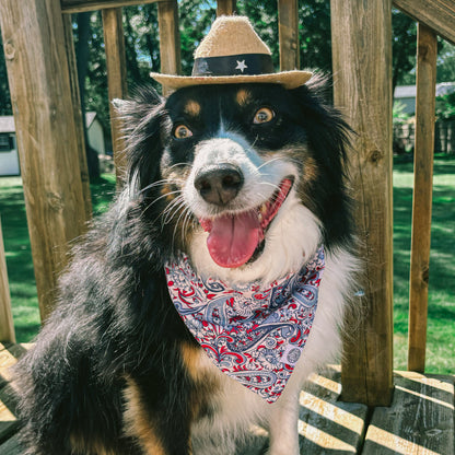 Paisley Bandana