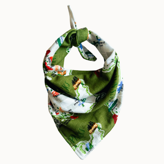 Parker Bandana
