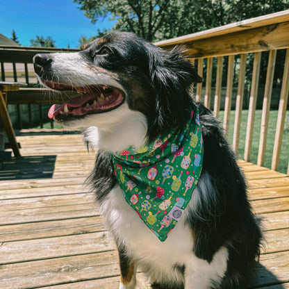 Pickles Bandana