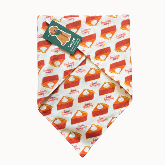 Pumpkin Pie Bandana
