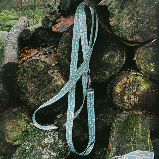 Sierra Recycled Dog Leash