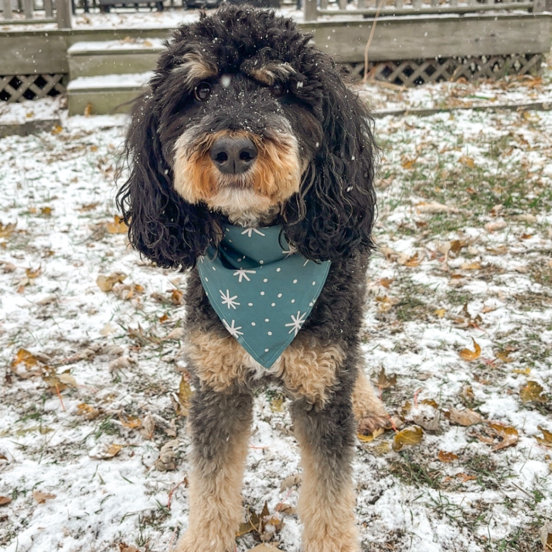Snow Days Bandana