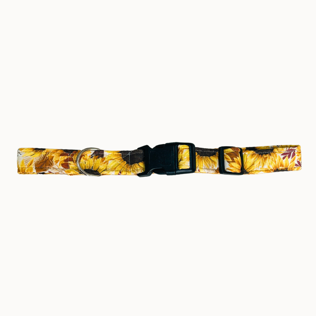 Sunflower Collar