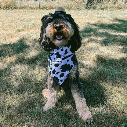 Tucker Bandana